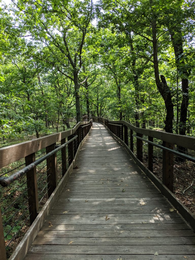 Boardwalk trail to Bald Rock
