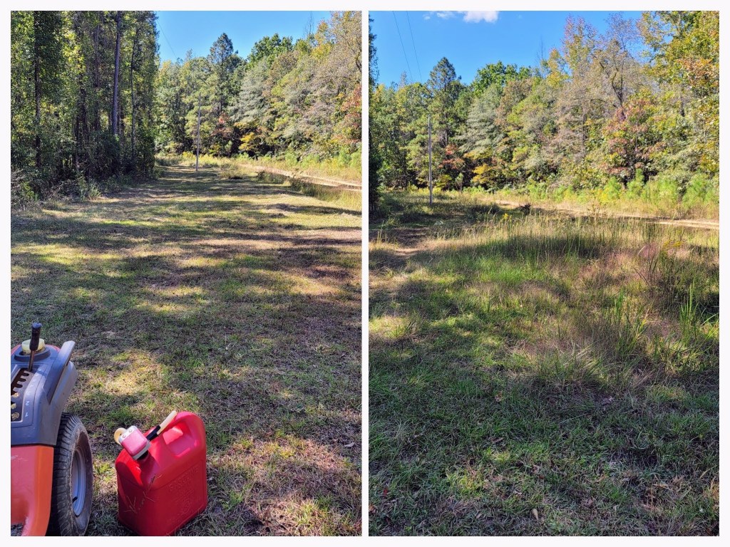 A split image showing a grassy area before and after mowing, with a red gas can on the left side near a lawn mower.